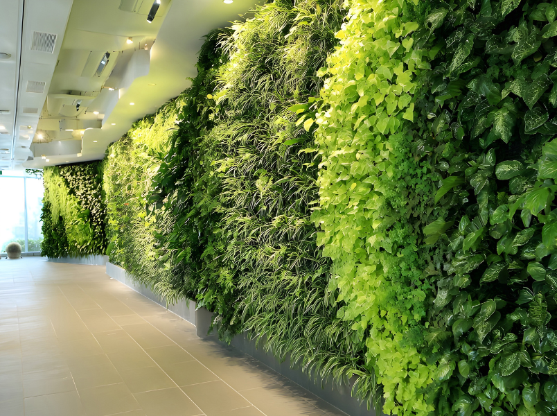 Commercial Landscape Project