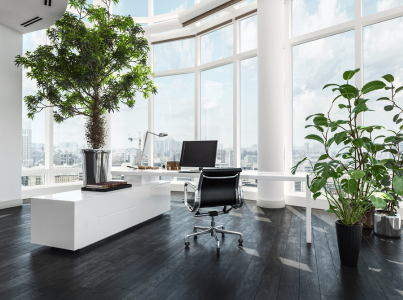 Potted Plant Rental Services