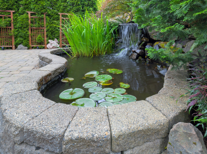Water Features and Ponds
