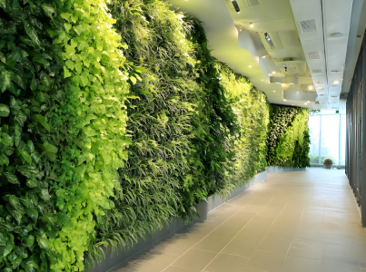 Living Green Walls